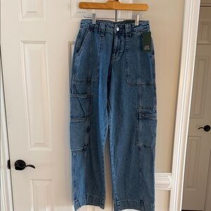 NWT Wild Fable High-Waist Blue Denim Cargo Pants sz 4